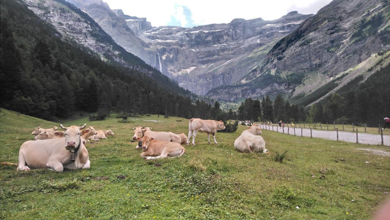 STUDIO en PLEINE MONTAGNE AVEC VUE SUR MARMOTTES La Mongie Exterior foto
